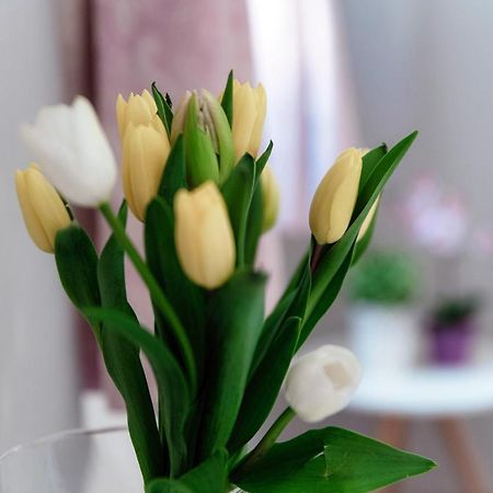 Barbablue Flat - The House Of Travelers Apartment โกโม ภายนอก รูปภาพ
