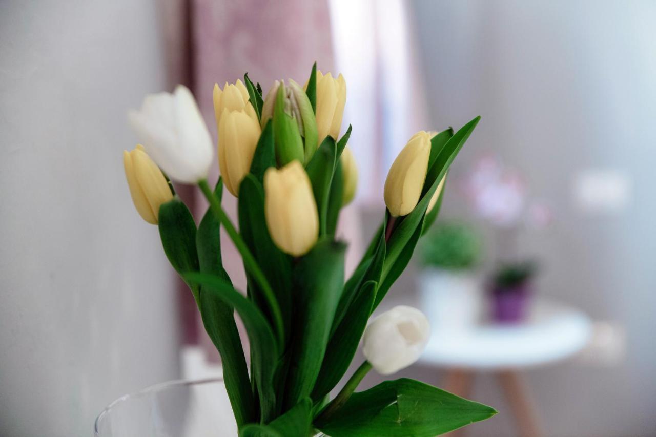 Barbablue Flat - The House Of Travelers Apartment โกโม ภายนอก รูปภาพ